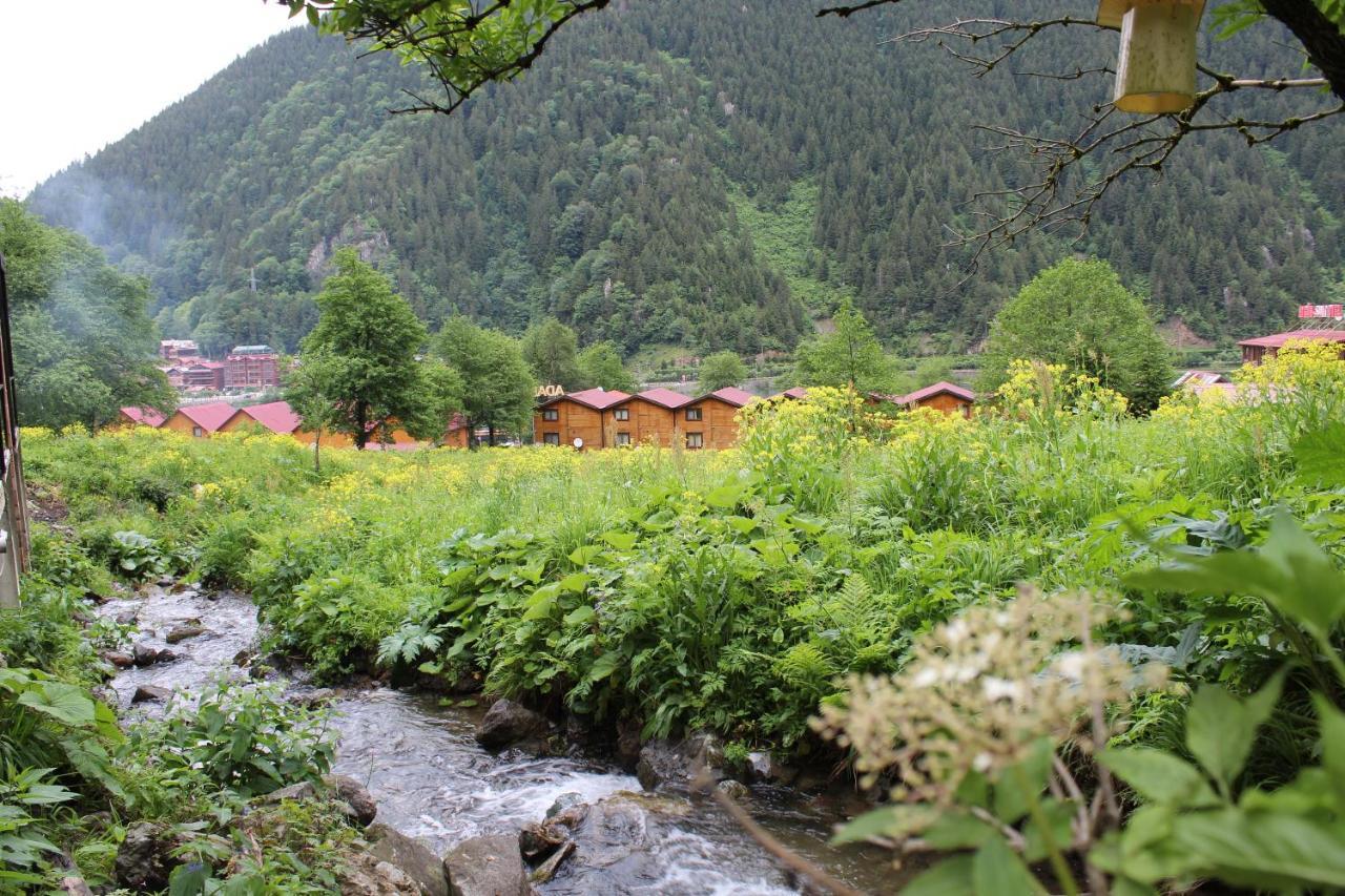 Faraksi Bungalow & Otel Uzungöl Exterior foto